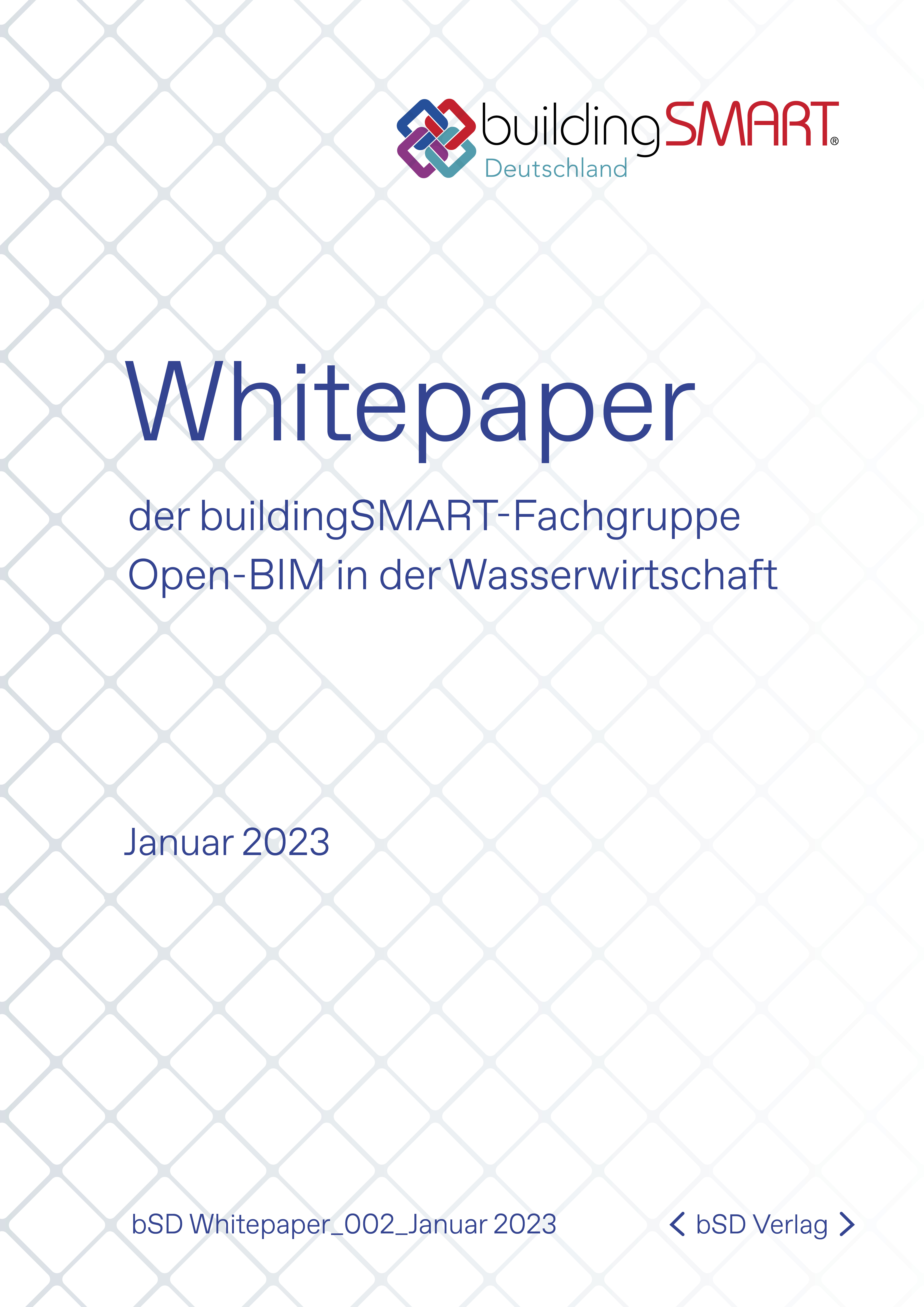 bSD Verlag/bSD Whitepaper Wasserwirtschaft